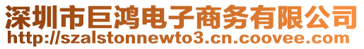 深圳市巨鴻電子商務(wù)有限公司