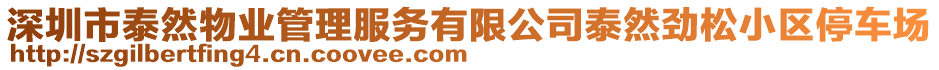 深圳市泰然物業(yè)管理服務(wù)有限公司泰然勁松小區(qū)停車(chē)場(chǎng)