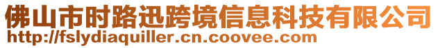 佛山市時路迅跨境信息科技有限公司