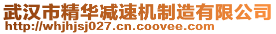 武漢市精華減速機制造有限公司