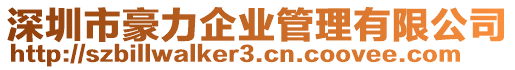 深圳市豪力企業(yè)管理有限公司