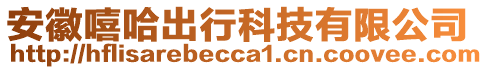 安徽嘻哈出行科技有限公司