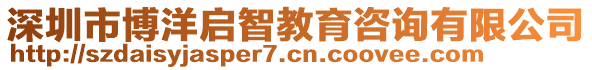 深圳市博洋啟智教育咨詢有限公司