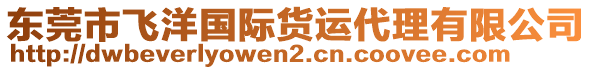 東莞市飛洋國際貨運(yùn)代理有限公司