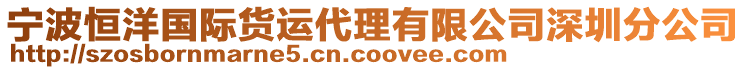 寧波恒洋國際貨運代理有限公司深圳分公司