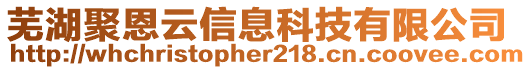 芜湖聚恩云信息科技有限公司