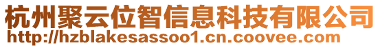 杭州聚云位智信息科技有限公司