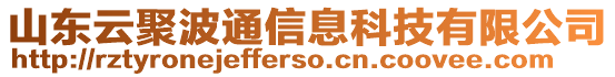 山東云聚波通信息科技有限公司