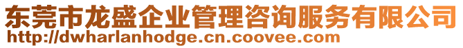 東莞市龍盛企業(yè)管理咨詢服務(wù)有限公司