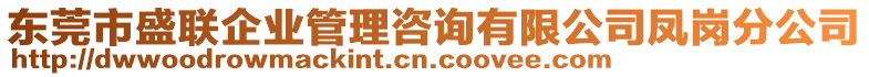 東莞市盛聯(lián)企業(yè)管理咨詢有限公司鳳崗分公司