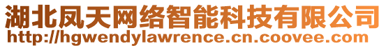 湖北鳳天網絡智能科技有限公司