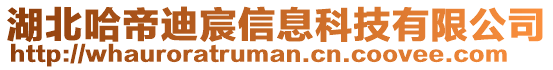 湖北哈帝迪宸信息科技有限公司