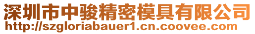 深圳市中駿精密模具有限公司