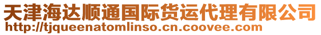 天津海達順通國際貨運代理有限公司