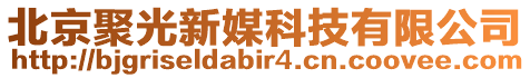 北京聚光新媒科技有限公司