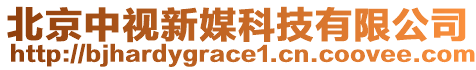 北京中視新媒科技有限公司