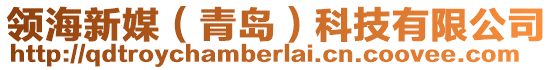 领海新媒（青岛）科技有限公司