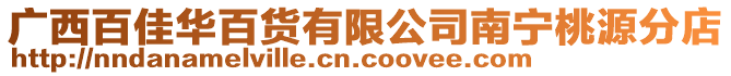 廣西百佳華百貨有限公司南寧桃源分店