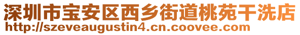 深圳市寶安區(qū)西鄉(xiāng)街道桃苑干洗店