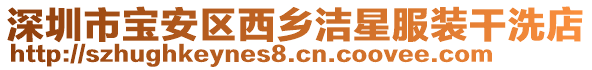 深圳市寶安區(qū)西鄉(xiāng)潔星服裝干洗店