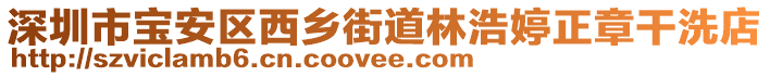 深圳市寶安區(qū)西鄉(xiāng)街道林浩婷正章干洗店