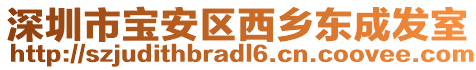 深圳市寶安區(qū)西鄉(xiāng)東成發(fā)室