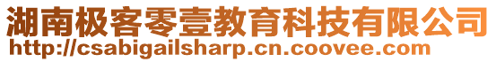 湖南極客零壹教育科技有限公司