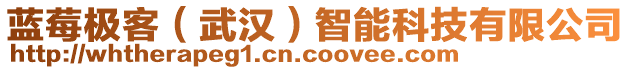 藍(lán)莓極客（武漢）智能科技有限公司