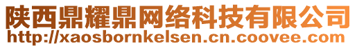 陜西鼎耀鼎網(wǎng)絡(luò)科技有限公司