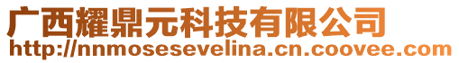 廣西耀鼎元科技有限公司