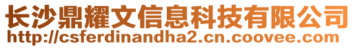 長(zhǎng)沙鼎耀文信息科技有限公司