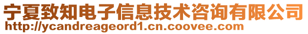 寧夏致知電子信息技術(shù)咨詢有限公司