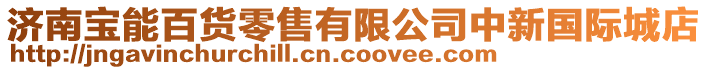 濟(jì)南寶能百貨零售有限公司中新國際城店