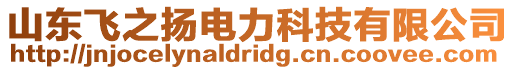 山東飛之揚(yáng)電力科技有限公司