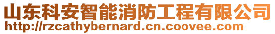 山東科安智能消防工程有限公司