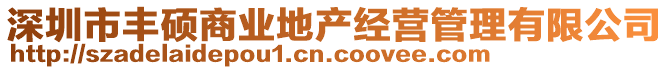 深圳市豐碩商業(yè)地產(chǎn)經(jīng)營(yíng)管理有限公司