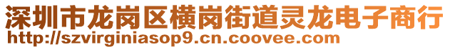 深圳市龍崗區(qū)橫崗街道靈龍電子商行