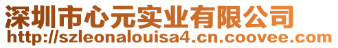 深圳市心元實(shí)業(yè)有限公司