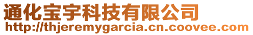 通化寶宇科技有限公司