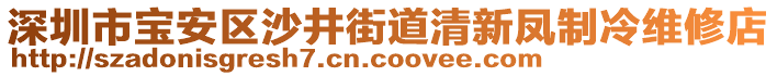 深圳市寶安區(qū)沙井街道清新鳳制冷維修店