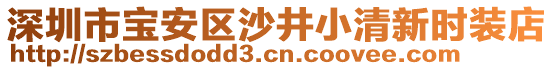 深圳市寶安區(qū)沙井小清新時裝店