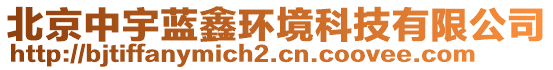 北京中宇藍(lán)鑫環(huán)境科技有限公司