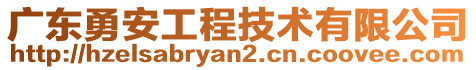 廣東勇安工程技術(shù)有限公司