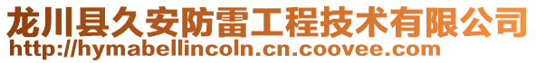 龙川县久安防雷工程技术有限公司