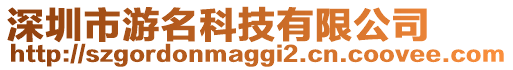 深圳市游名科技有限公司