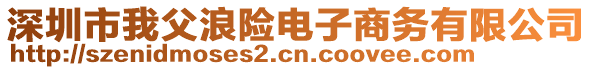 深圳市我父浪險(xiǎn)電子商務(wù)有限公司