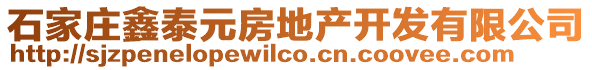 石家庄鑫泰元房地产开发有限公司