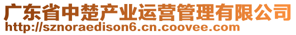 廣東省中楚產(chǎn)業(yè)運營管理有限公司