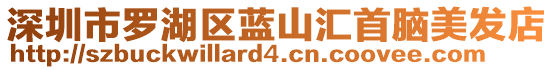 深圳市羅湖區(qū)藍山匯首腦美發(fā)店