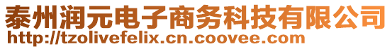 泰州润元电子商务科技有限公司